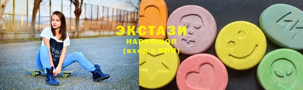 ECSTASY Богородицк