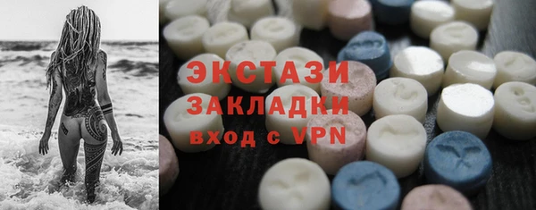 ECSTASY Богородицк