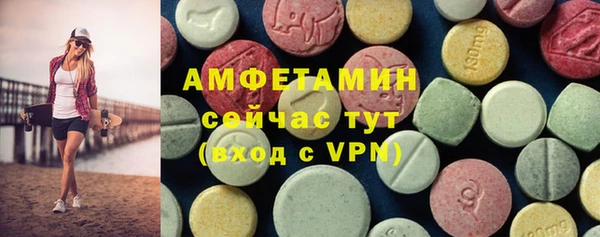 ECSTASY Богородицк